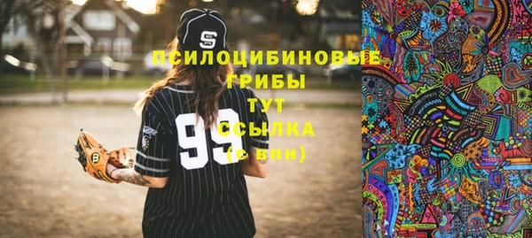 прущая мука Алзамай