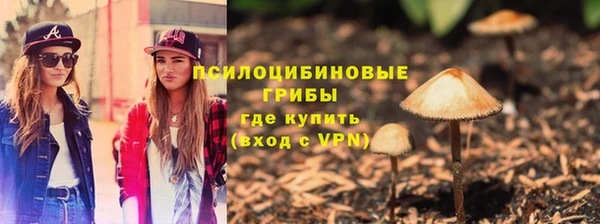 прущая мука Алзамай