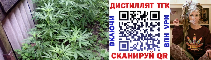 что такое   Первоуральск  ТГК THC oil 