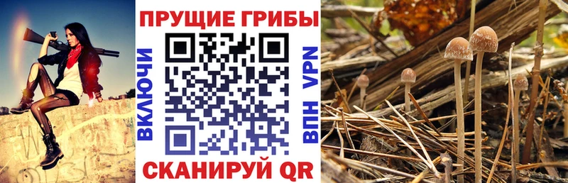 Галлюциногенные грибы Magic Shrooms Первоуральск